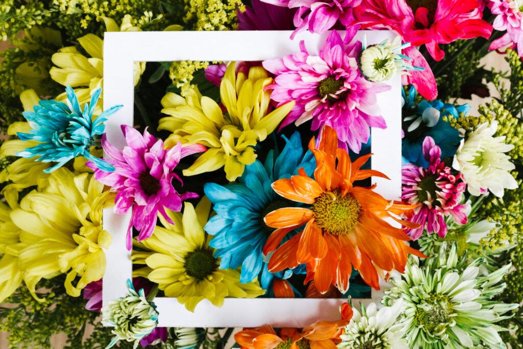 significado de las flores para regalar