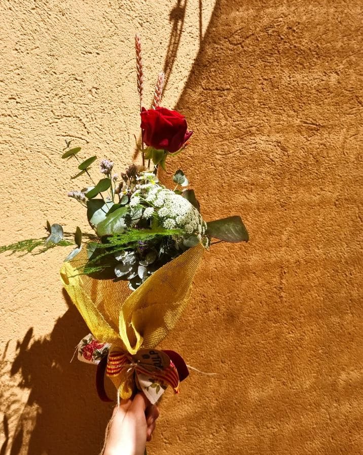 rosas sant jordi granollers