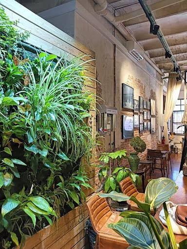 dónde comprar flores en Granollers